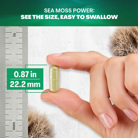 Sea Moss 7000mg Black Seed Oil 4000mg Ashwagandha 2000mg Turmeric 2000mg Bladderwrack 2000mg Burdock 2000mg & Ginger Vitamin C Vitamin D3 with Elderberry Manuka Dandelion Yellow Dock Chlorophyll ACV